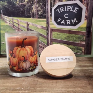 Ginger Snaps